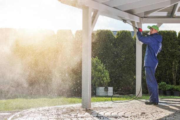 Best Driveway Pressure Washing  in Gunnison, CO